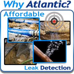 Why Atlantic Pic | Atlantic Pool Leak Detection