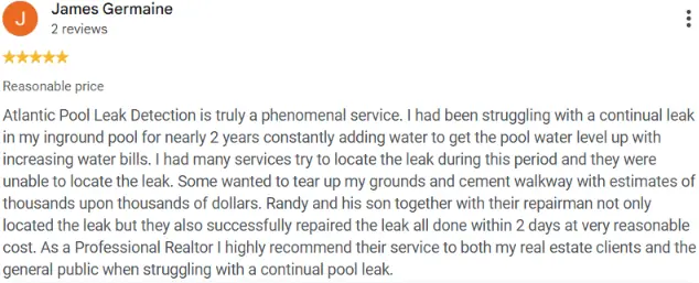 Google review from the Monmouth Junction homeowner describing a nearly two-year pool leak that APLD pinpointed and repaired within two days.